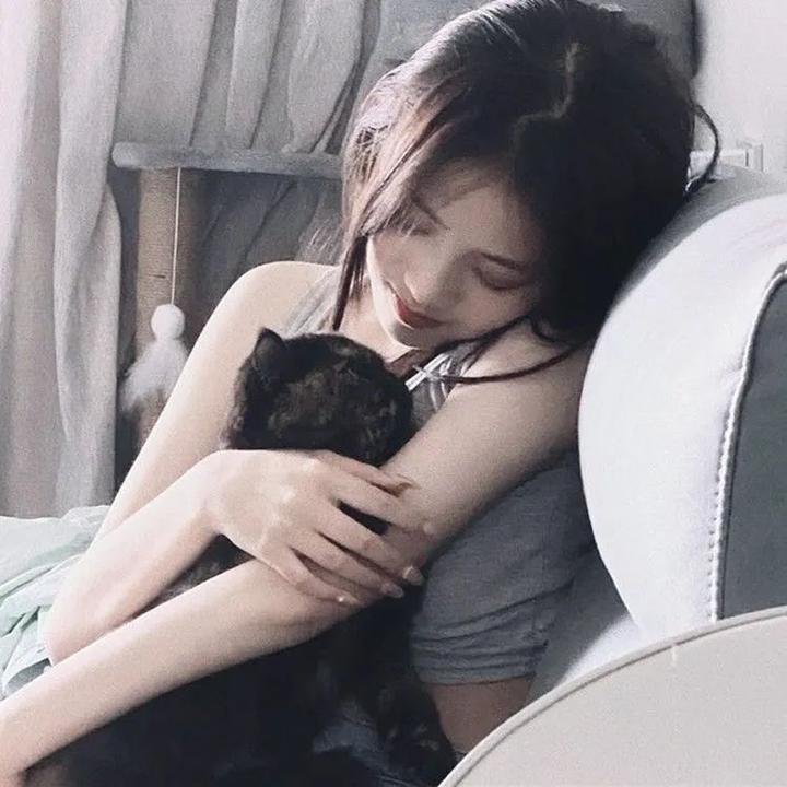 燕子不再归来
